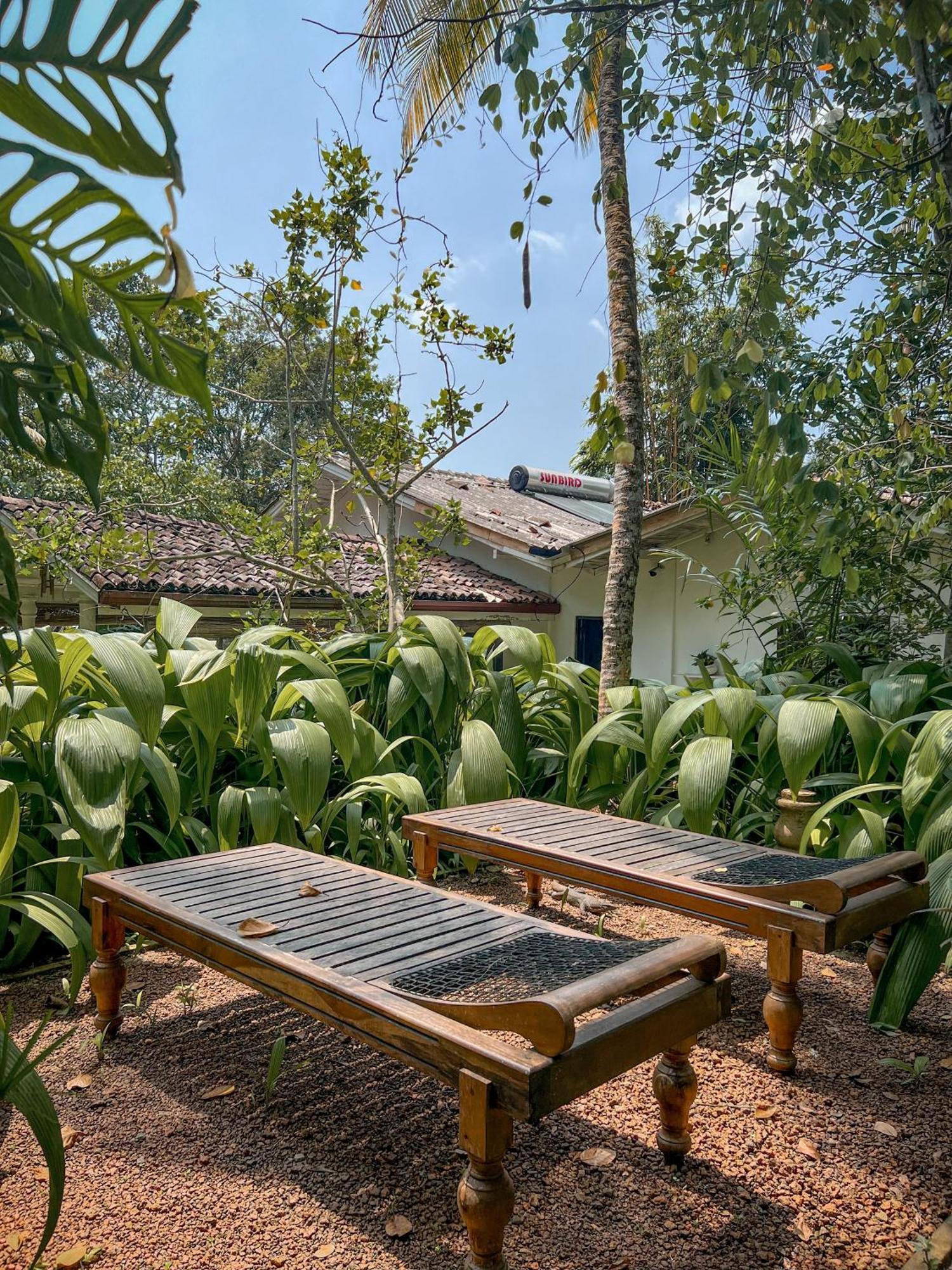 Medusa Bungalow - ガル エクステリア 写真